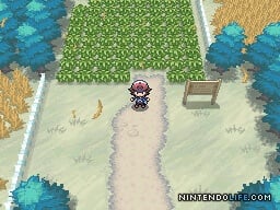 Pokémon Black and White ROM - Nintendo DS Game