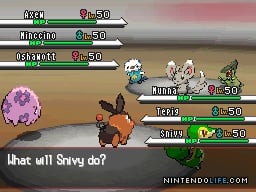 Pokemon - White Version ROM - NDS Download - Emulator Games