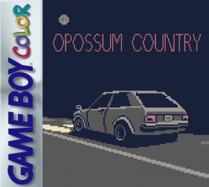 Opossum Country