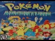 Pokémon Adventure