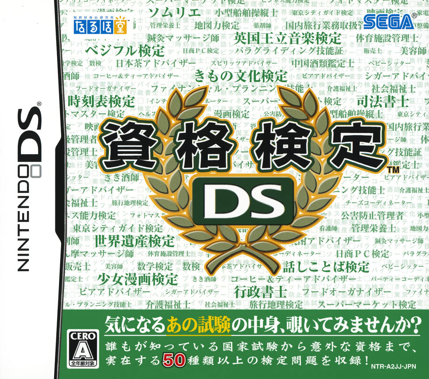 Shikaku Kentei DS
