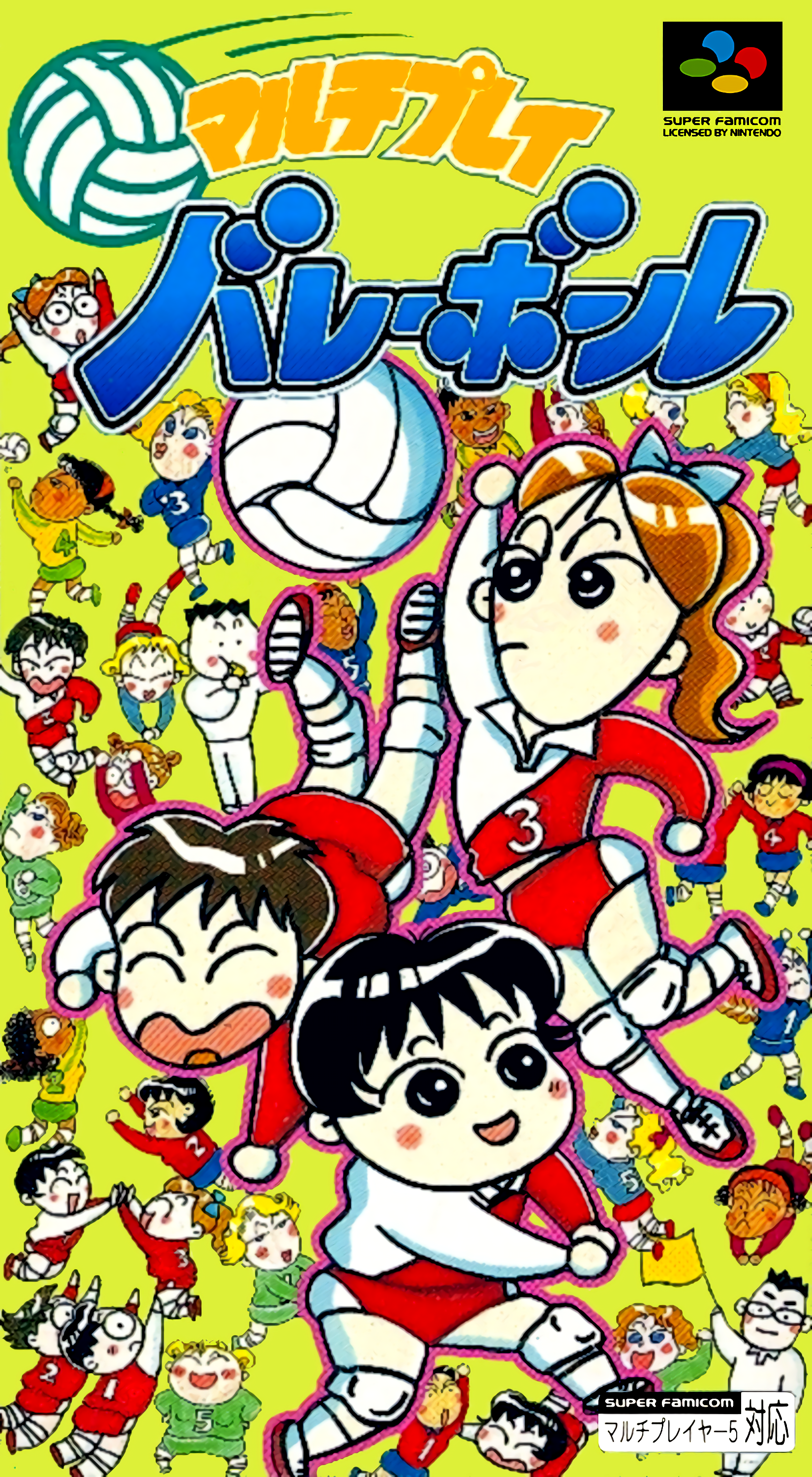 Multi Play Volleyball