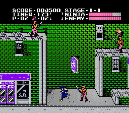 Ninja Gaiden: Virgin Edition