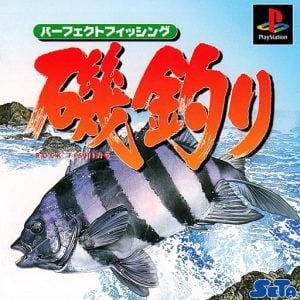 Perfect Fishing Rock Fishing
