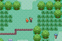 Pokémon Emerald Ambulation