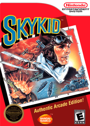 Sky Kid