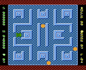 Tortoises