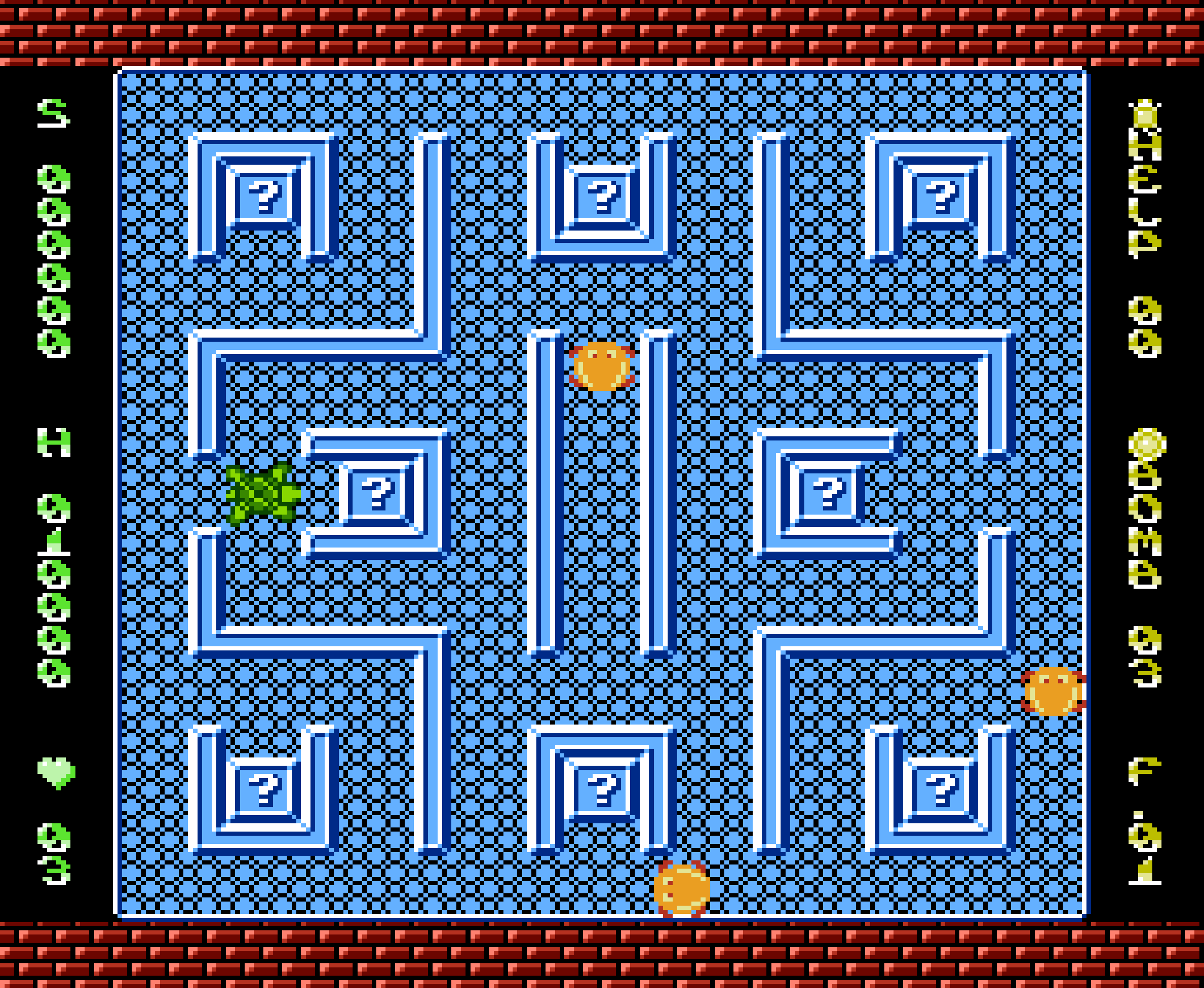 Tortoises
