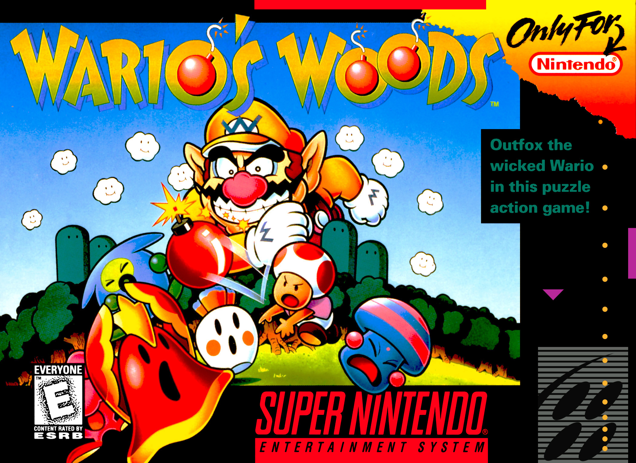 Wario's Woods