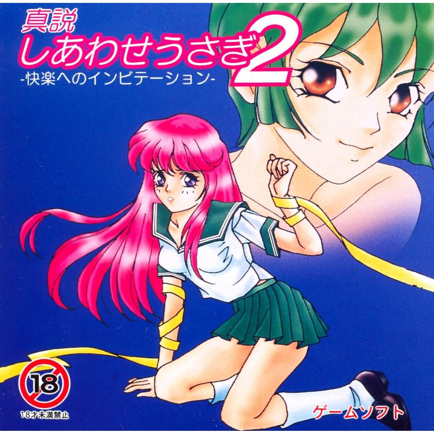 Shinsetsu Shiawase Usagi 2: Kairaku e no Invitation