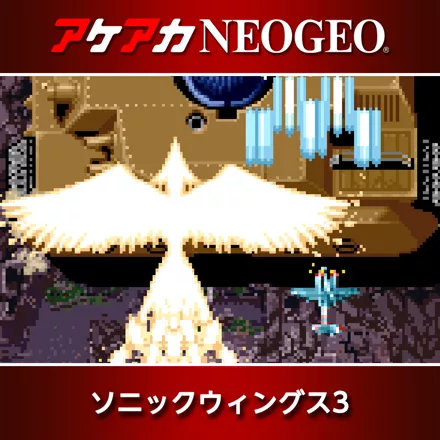 Aero Fighters 3