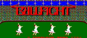 Bullfight