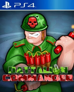 Battalion Commander