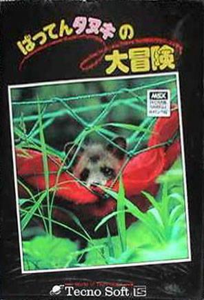 Raccoon Dog
