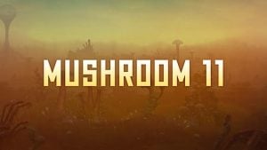 Mushroom 11