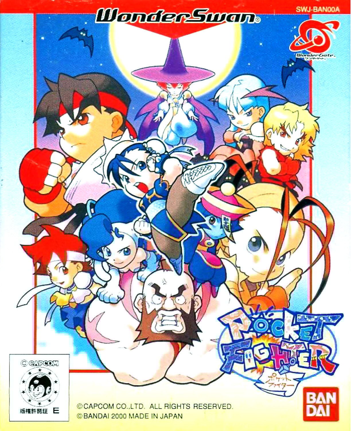 Pocket Fighter