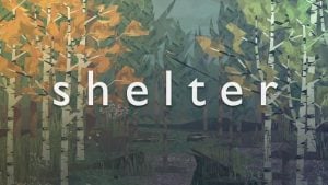 Shelter