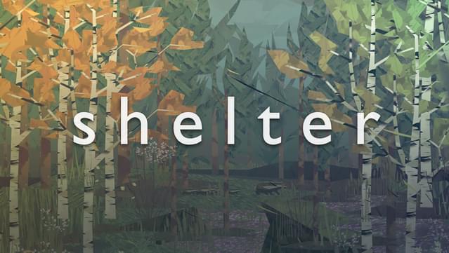 Shelter