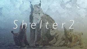 Shelter 2