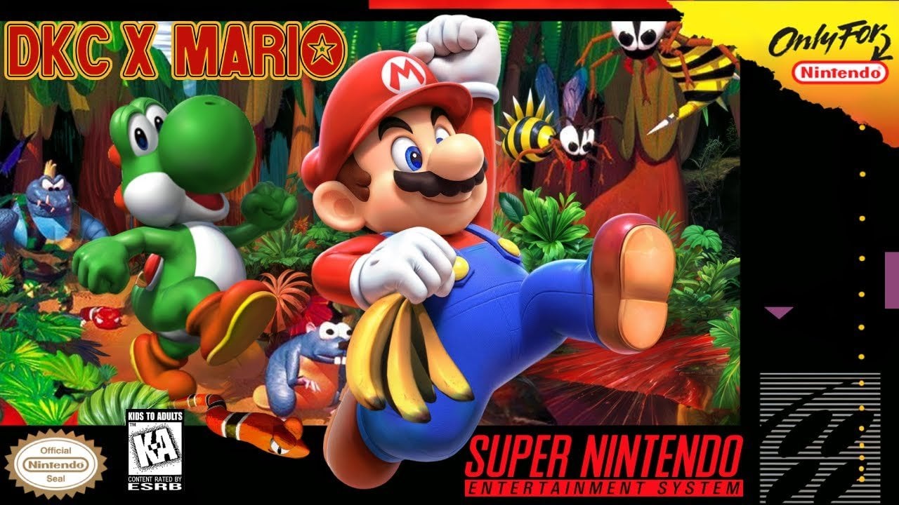 DKC X Mario