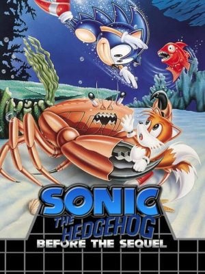 Sonic Before the Sequel