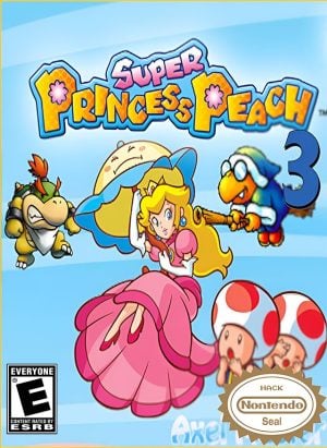 Super Princess Peach 3