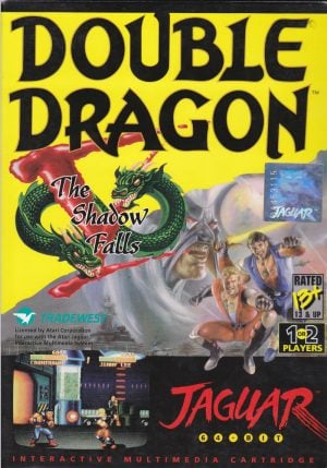 Double Dragon V: The Shadow Falls