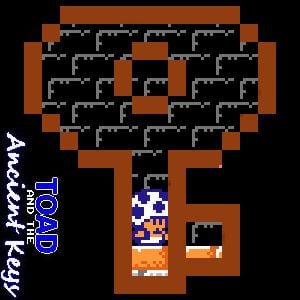 Toad and the Ancient Keys