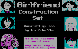 Girlfriend Construction Set_2