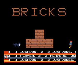 Bricks